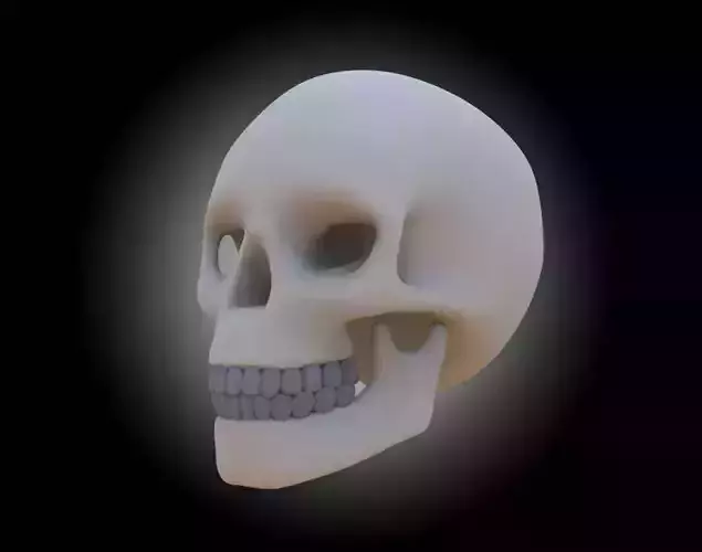SKULL HEAD WITH JAW AND TEETH Free 3D model