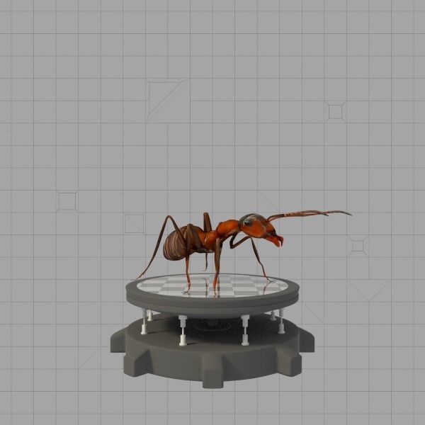 Insects Pack Ultra 3D model_19