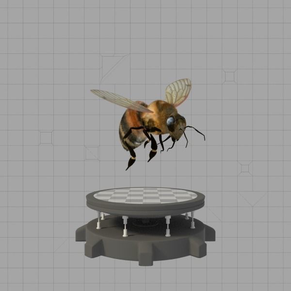 Insects Pack Ultra 3D model_16