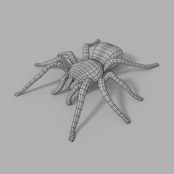 Insects Pack Ultra 3D model_24