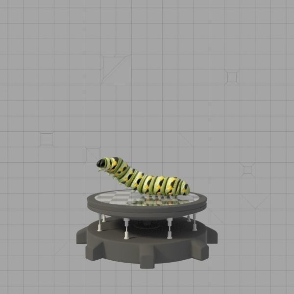 Insects Pack Ultra 3D model_3
