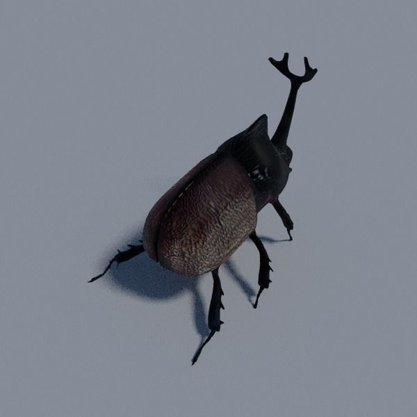Insects Pack Ultra 3D model_11
