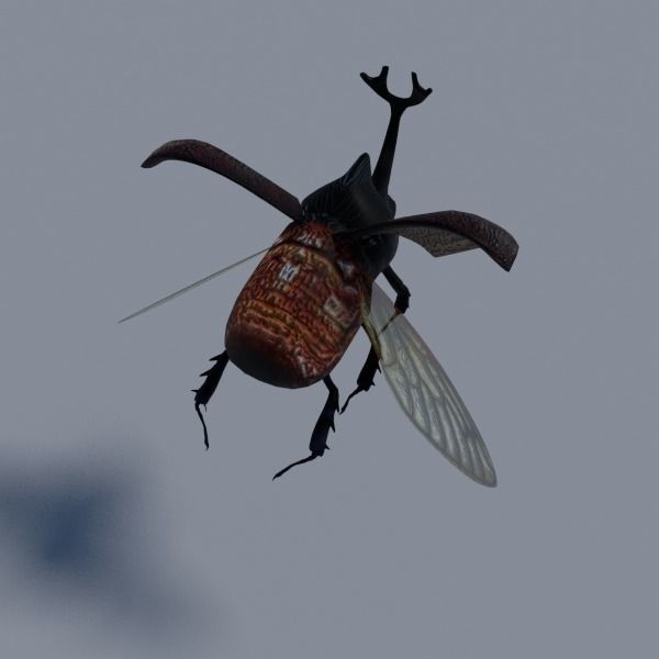 Insects Pack Ultra 3D model_13