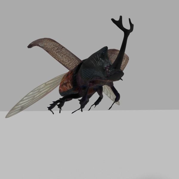 Insects Pack Ultra 3D model_12