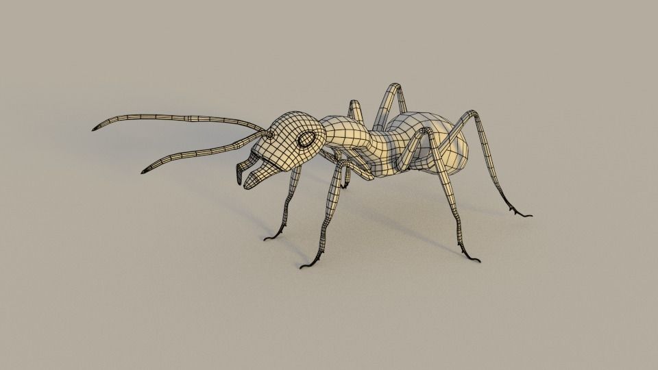 Insects Pack Ultra 3D model_20