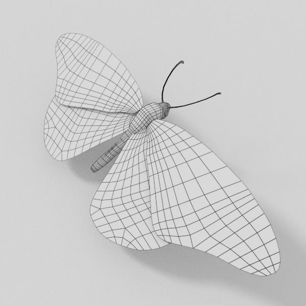 Insects Pack Ultra 3D model_8
