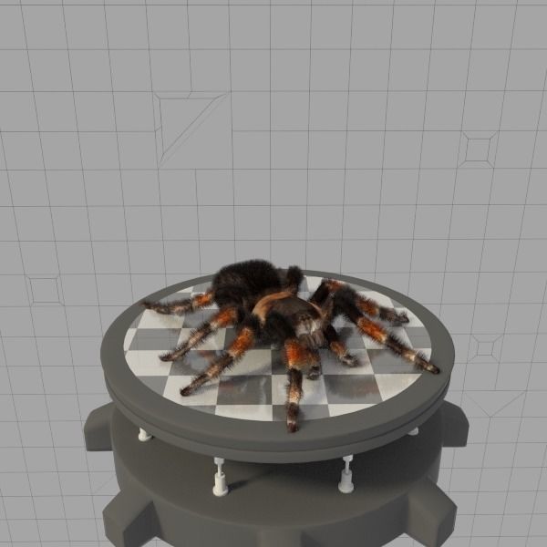 Insects Pack Ultra 3D model_21