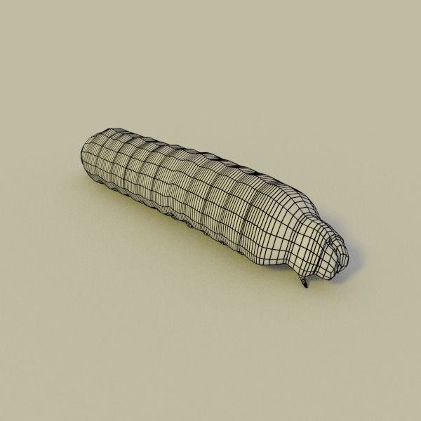 Insects Pack Ultra 3D model_4