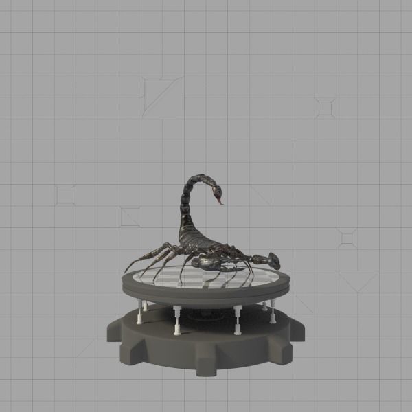 Insects Pack Ultra 3D model_14