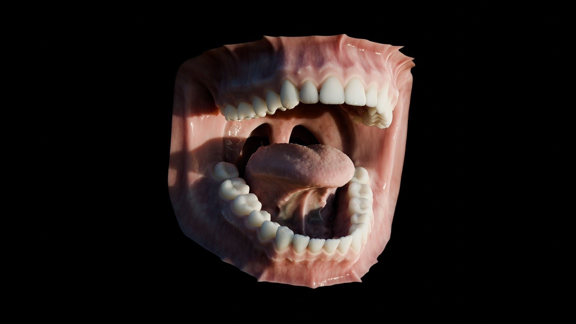 Photorealistic human mouth Low-poly 3D model_17