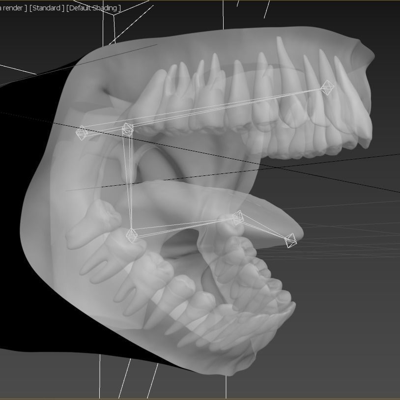 Photorealistic human mouth Low-poly 3D model_42
