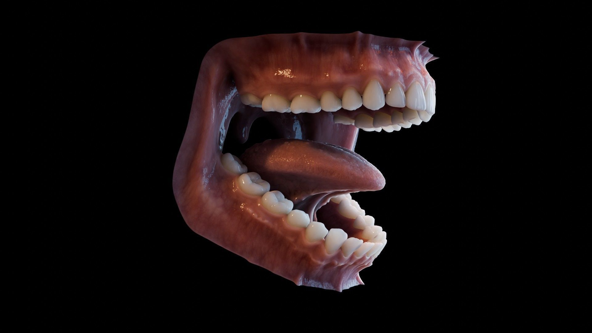 Photorealistic human mouth Low-poly 3D model_28