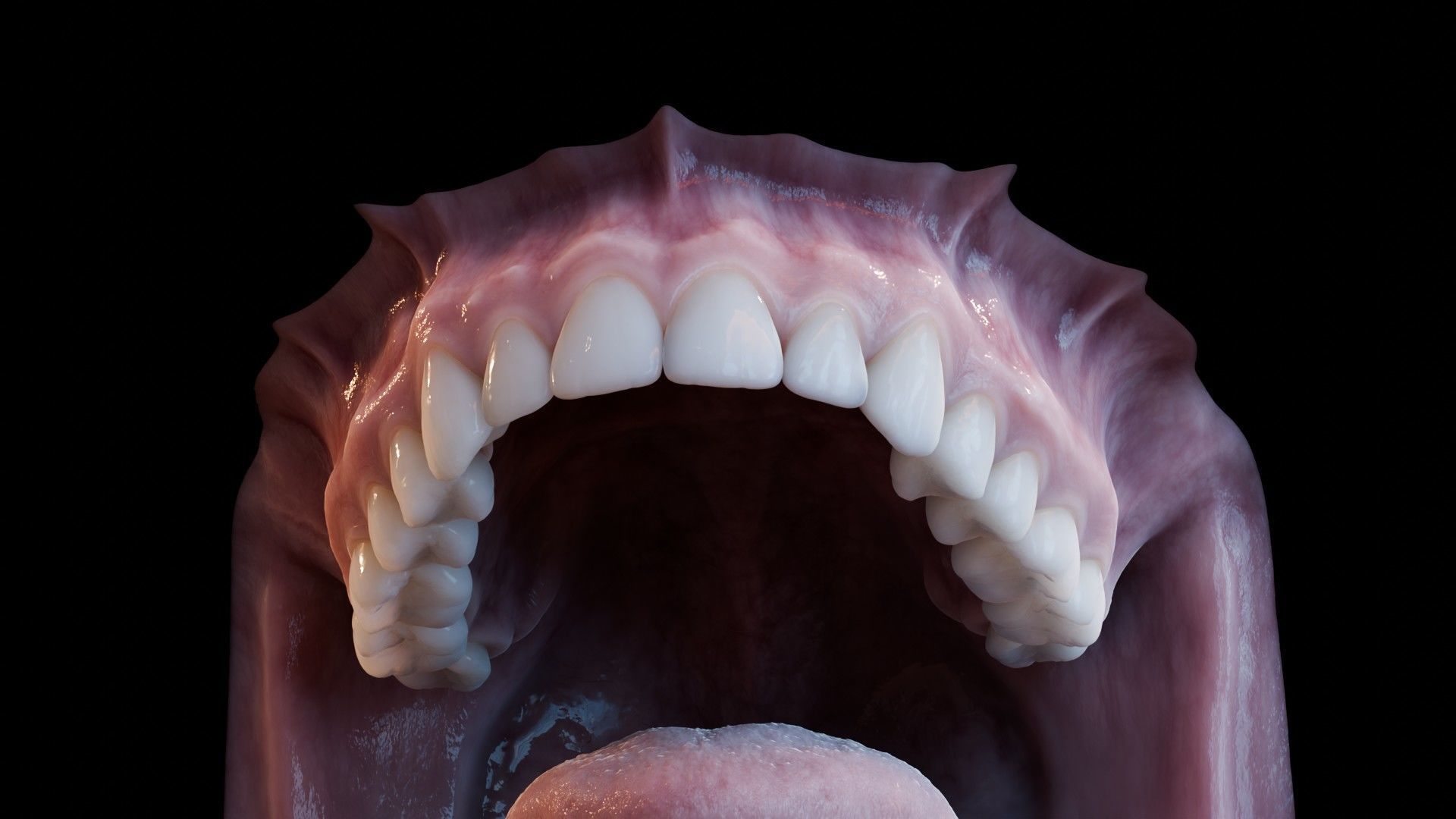 Photorealistic human mouth Low-poly 3D model_33