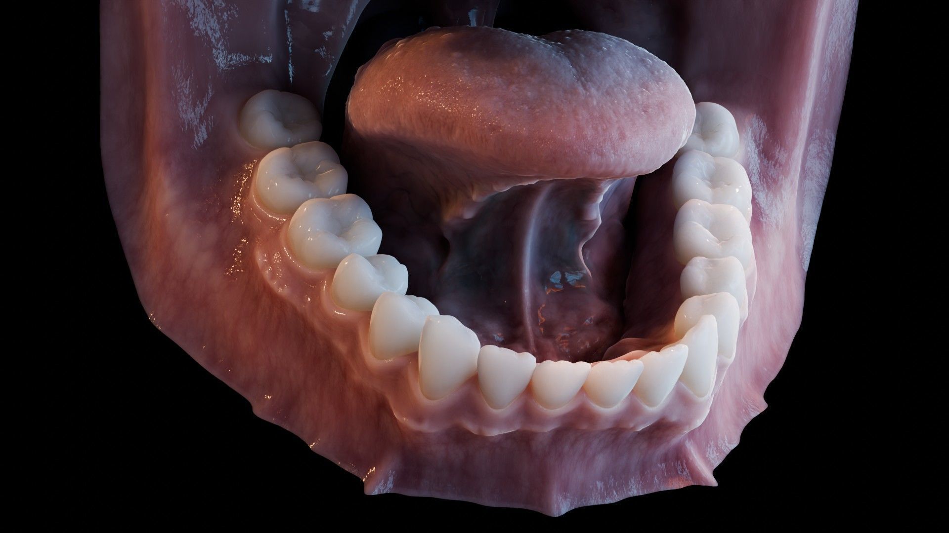Photorealistic human mouth Low-poly 3D model_34