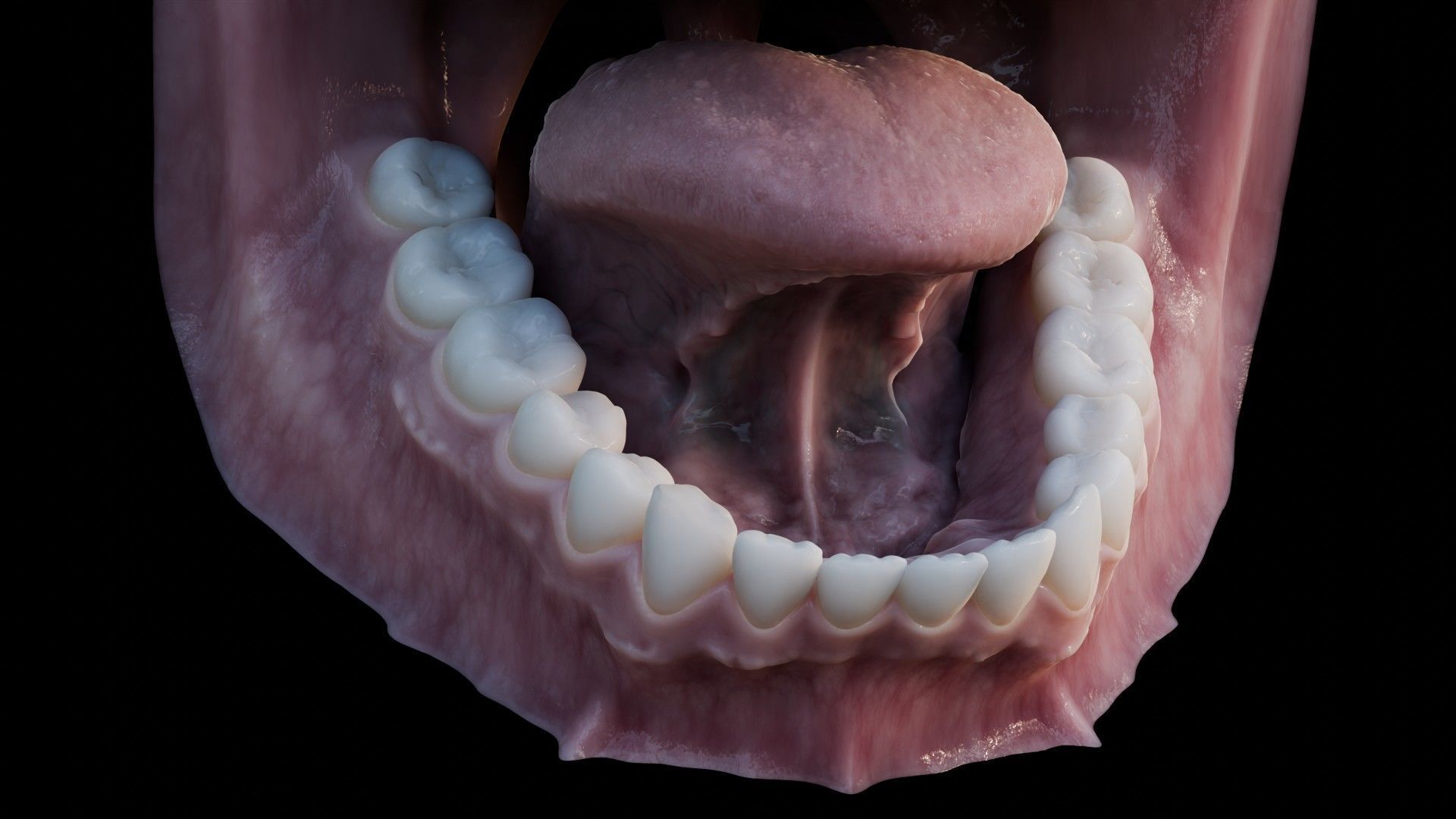 Photorealistic human mouth Low-poly 3D model_13
