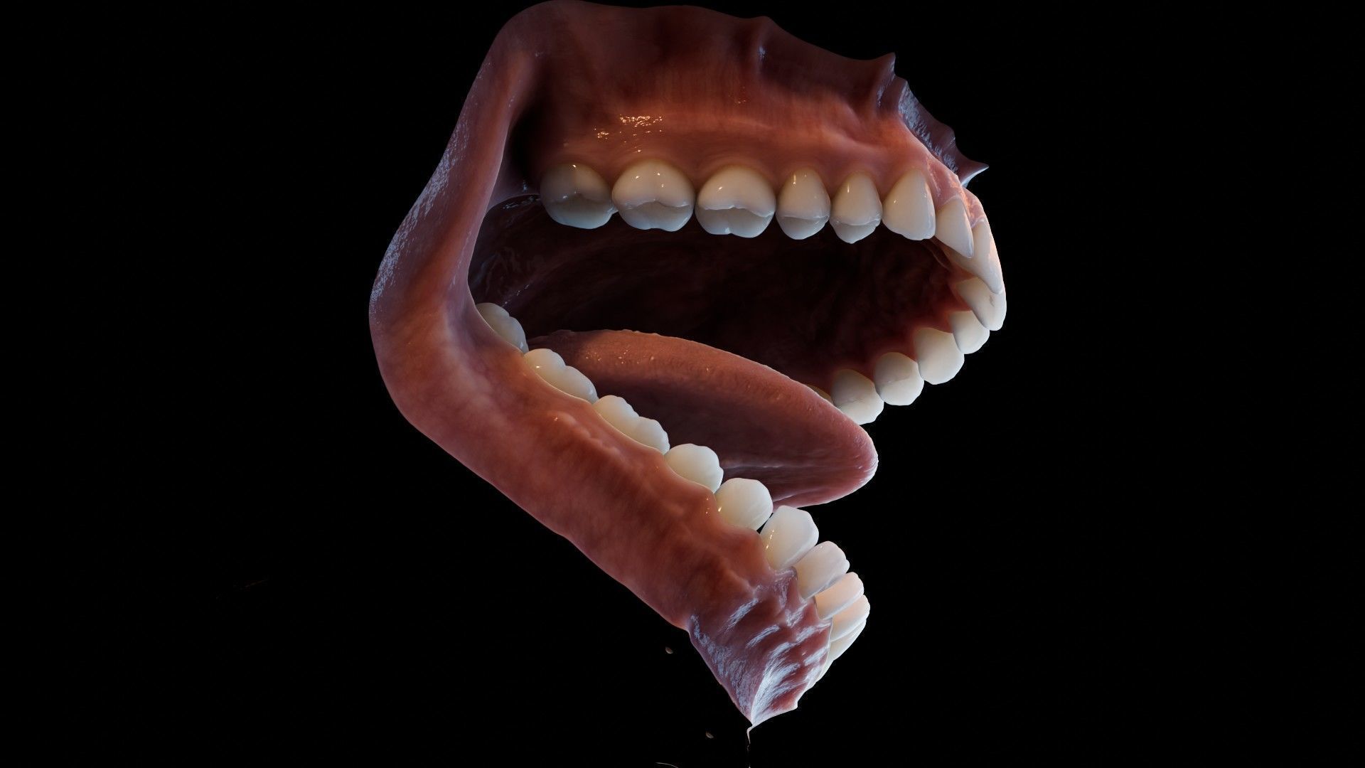 Photorealistic human mouth Low-poly 3D model_30