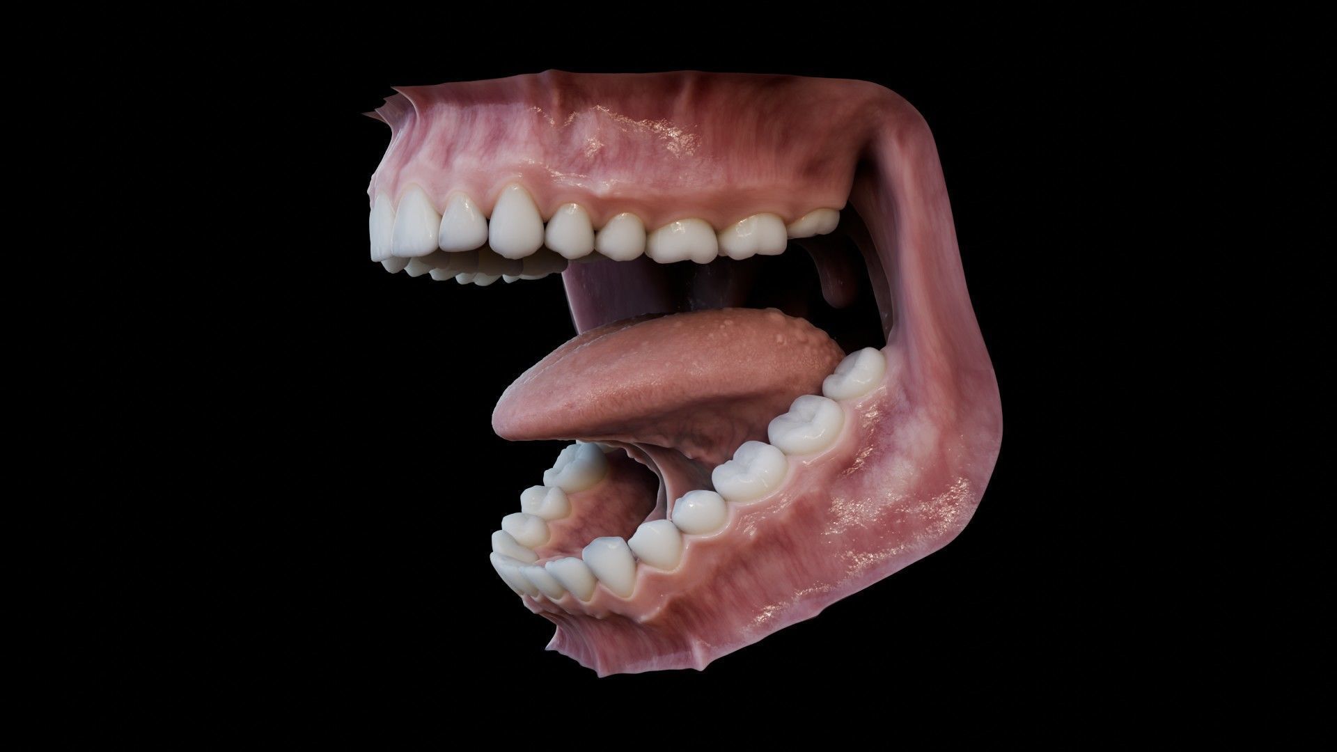 Photorealistic human mouth Low-poly 3D model_8
