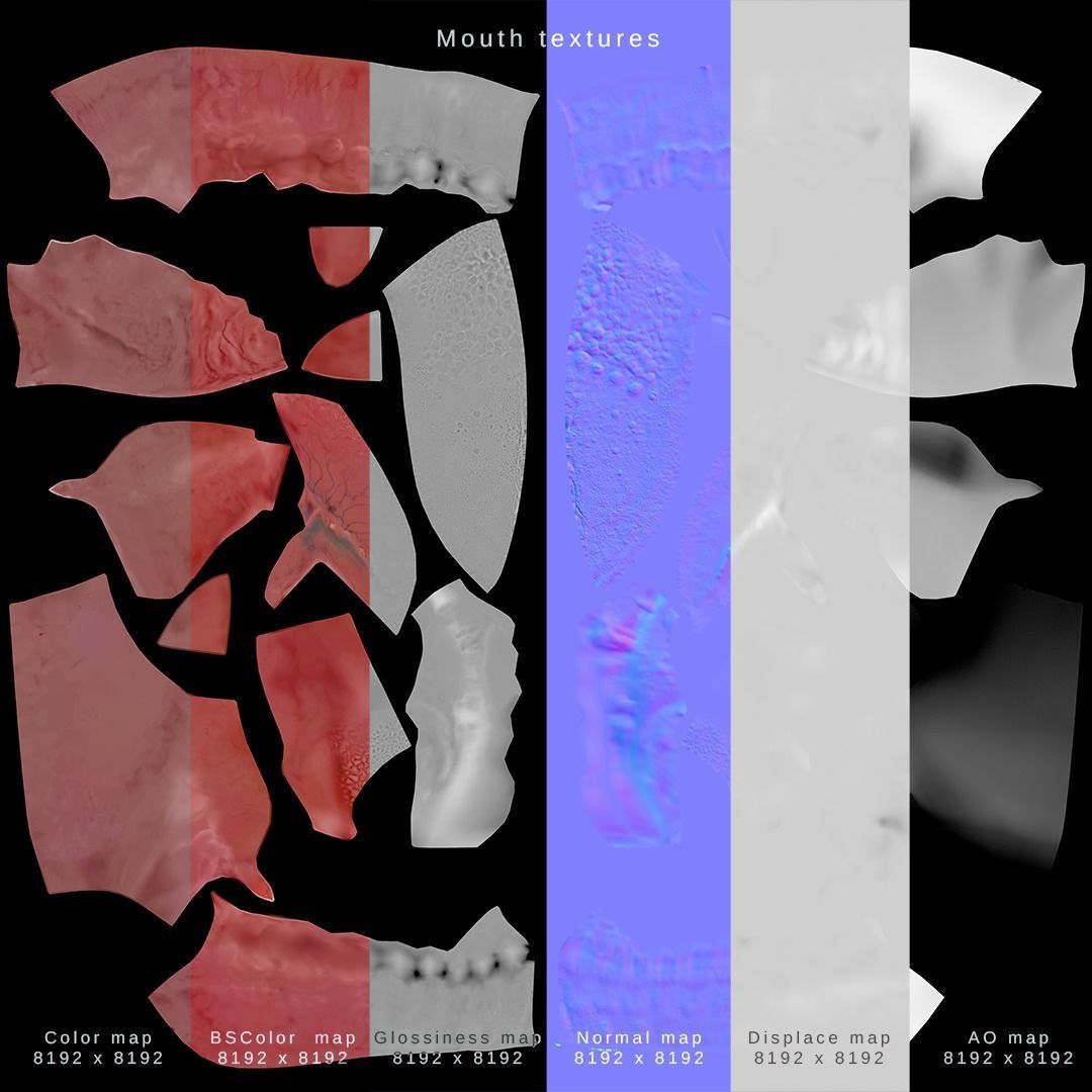 Photorealistic human mouth Low-poly 3D model_45