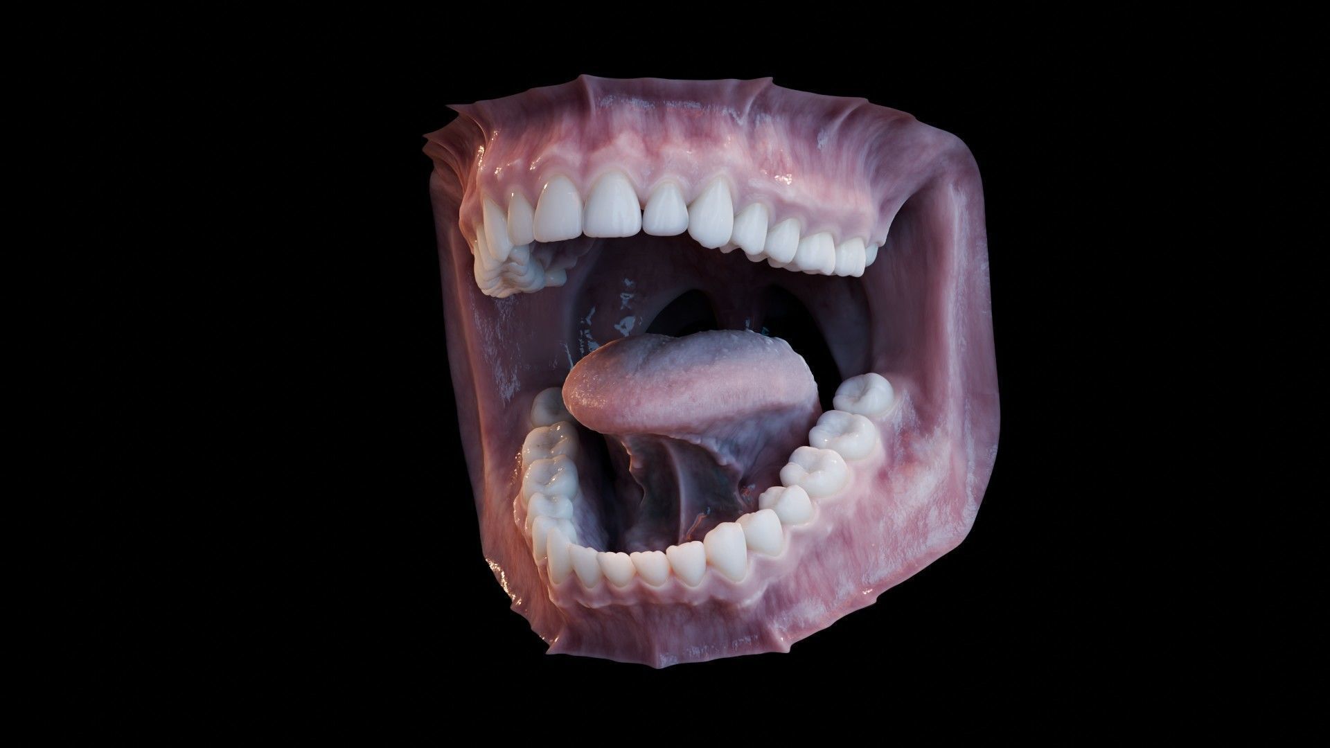 Photorealistic human mouth Low-poly 3D model_32