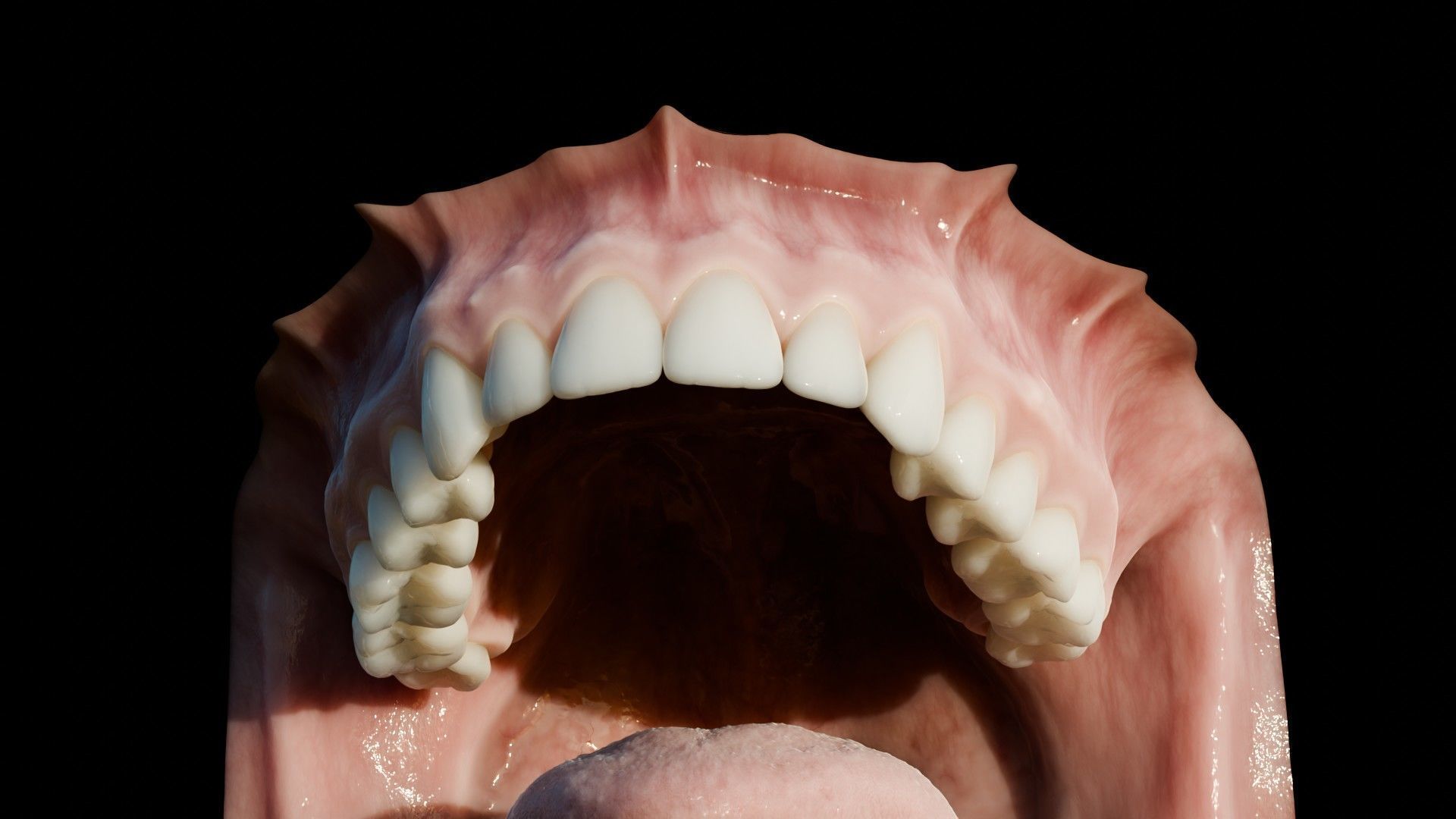 Photorealistic human mouth Low-poly 3D model_19