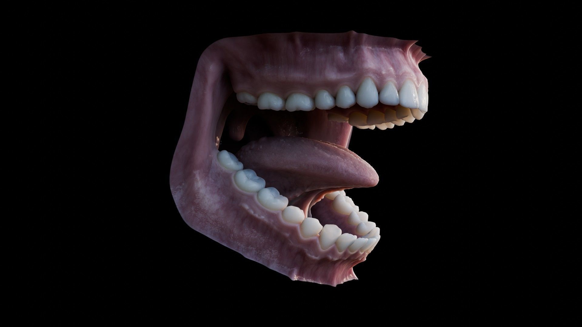 Photorealistic human mouth Low-poly 3D model_7