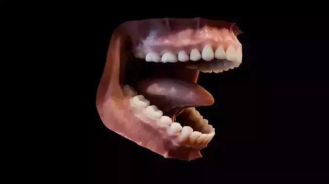 Photorealistic human mouth Low-poly 3D model