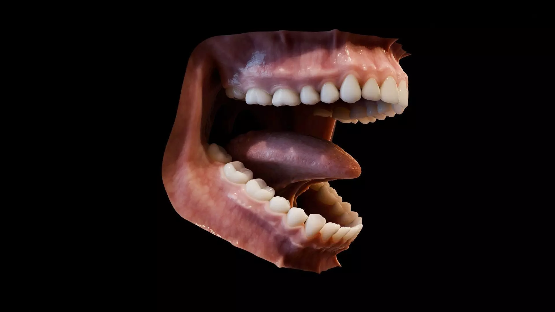 Photorealistic human mouth Low-poly 3D model_0