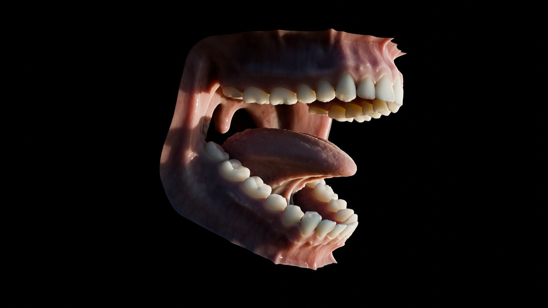 Photorealistic human mouth Low-poly 3D model_14
