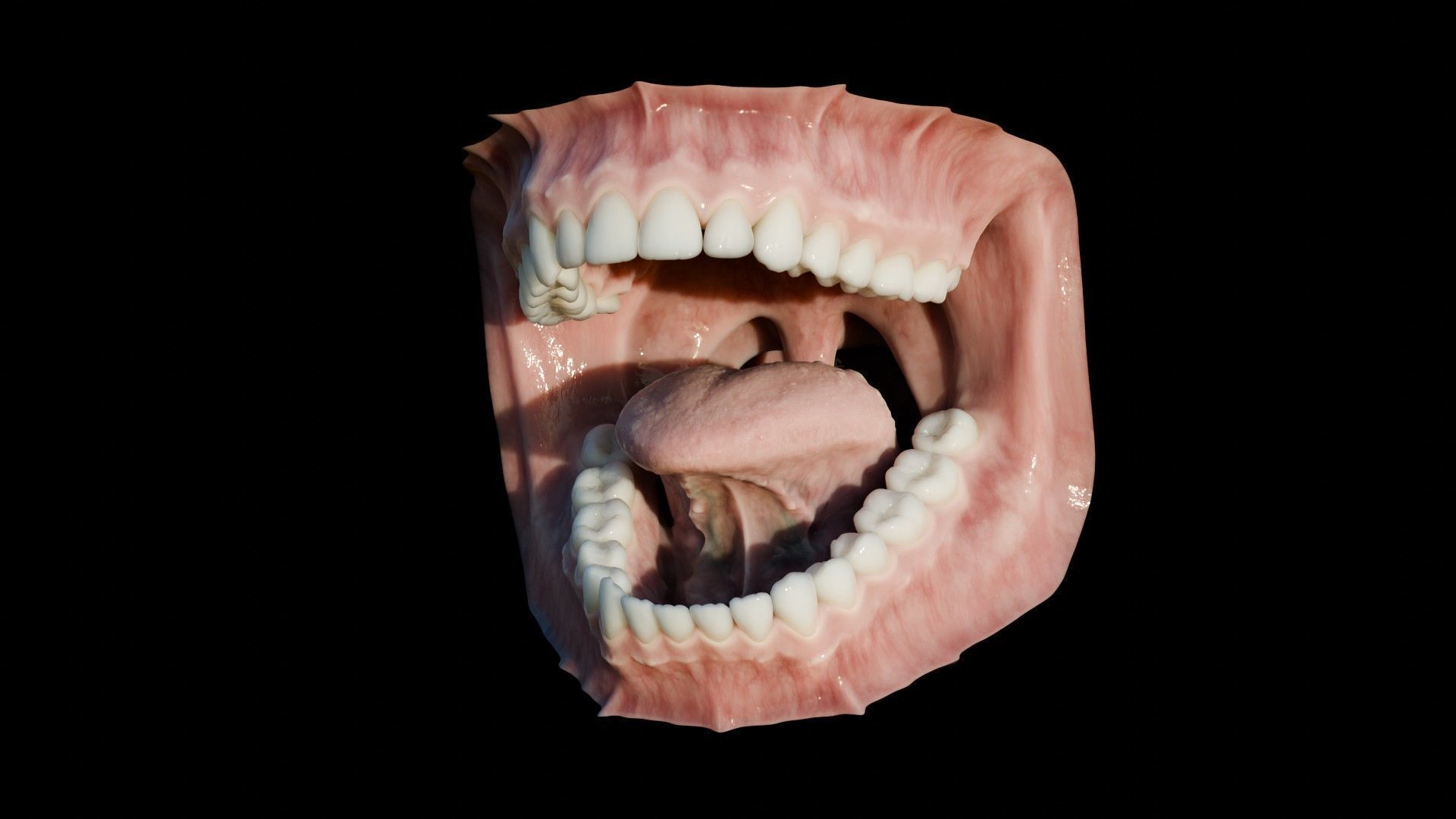 Photorealistic human mouth Low-poly 3D model_18