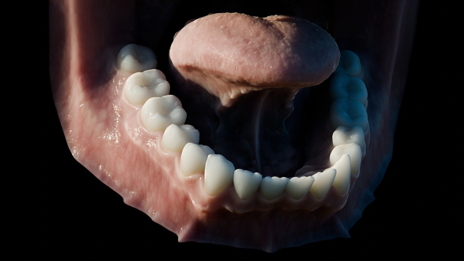 Photorealistic human mouth Low-poly 3D model_27