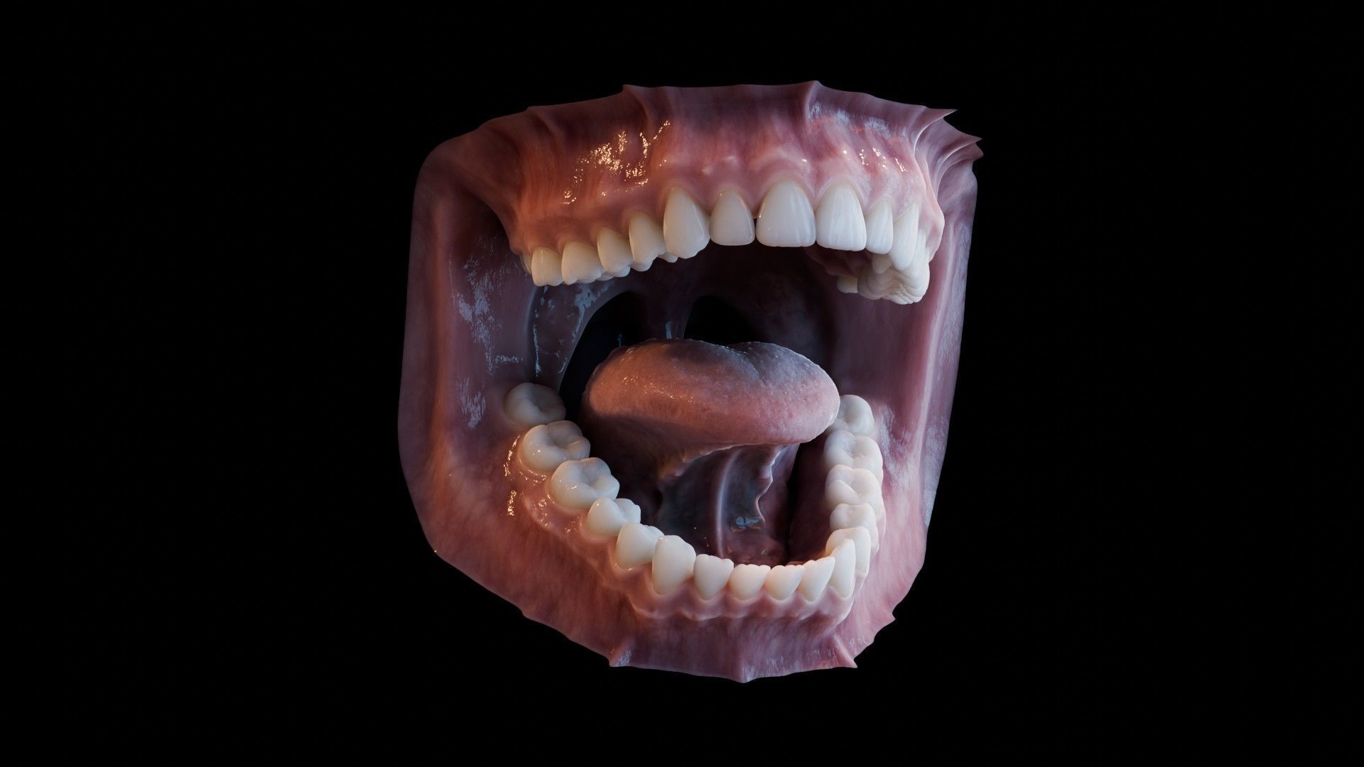 Photorealistic human mouth Low-poly 3D model_31