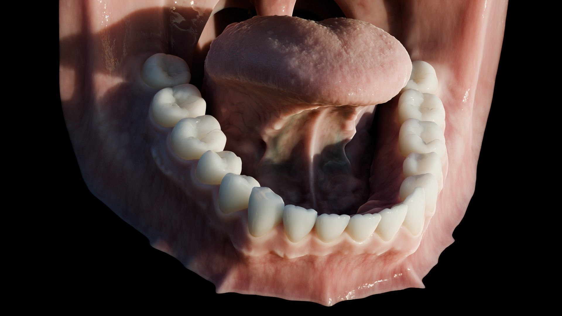 Photorealistic human mouth Low-poly 3D model_20