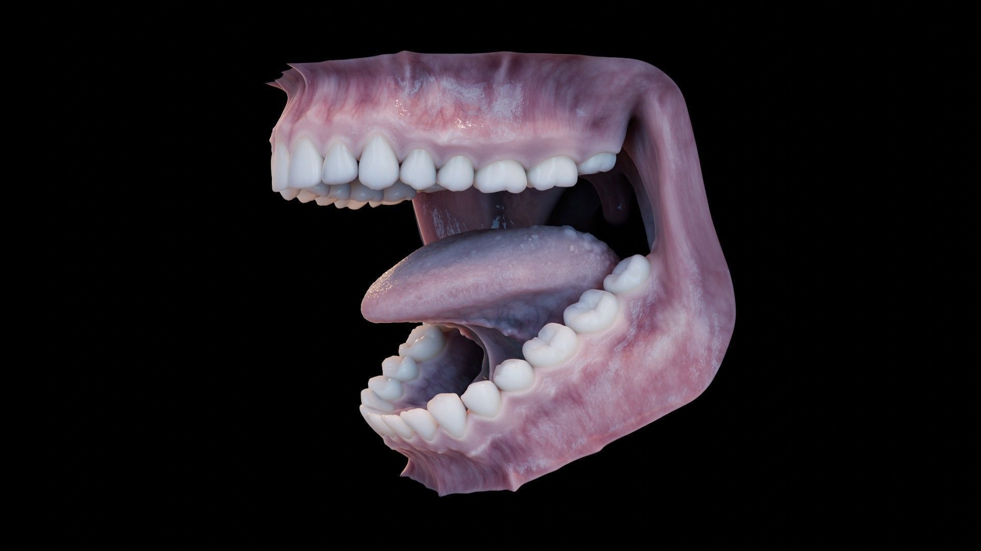 Photorealistic human mouth Low-poly 3D model_29