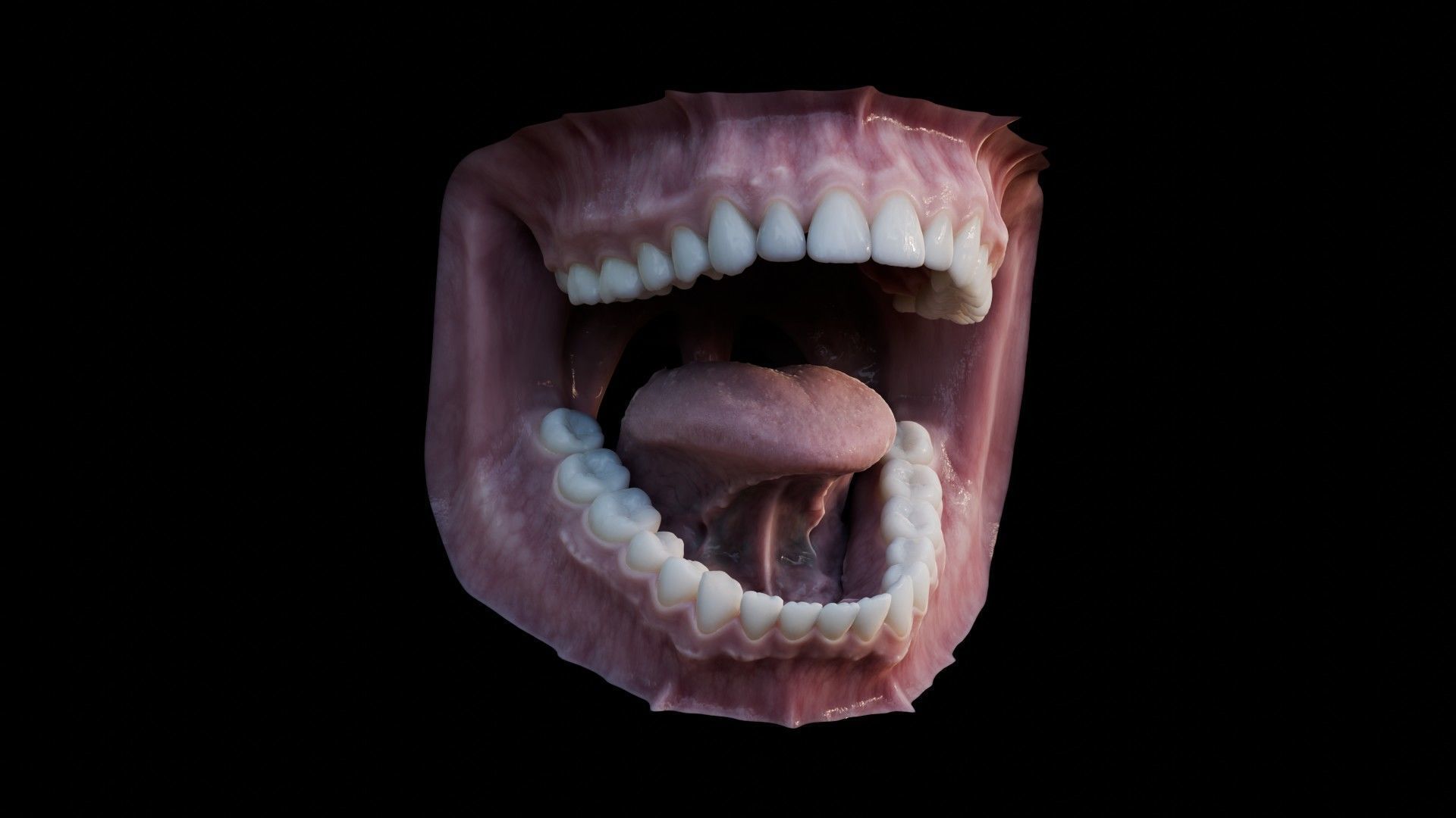 Photorealistic human mouth Low-poly 3D model_10