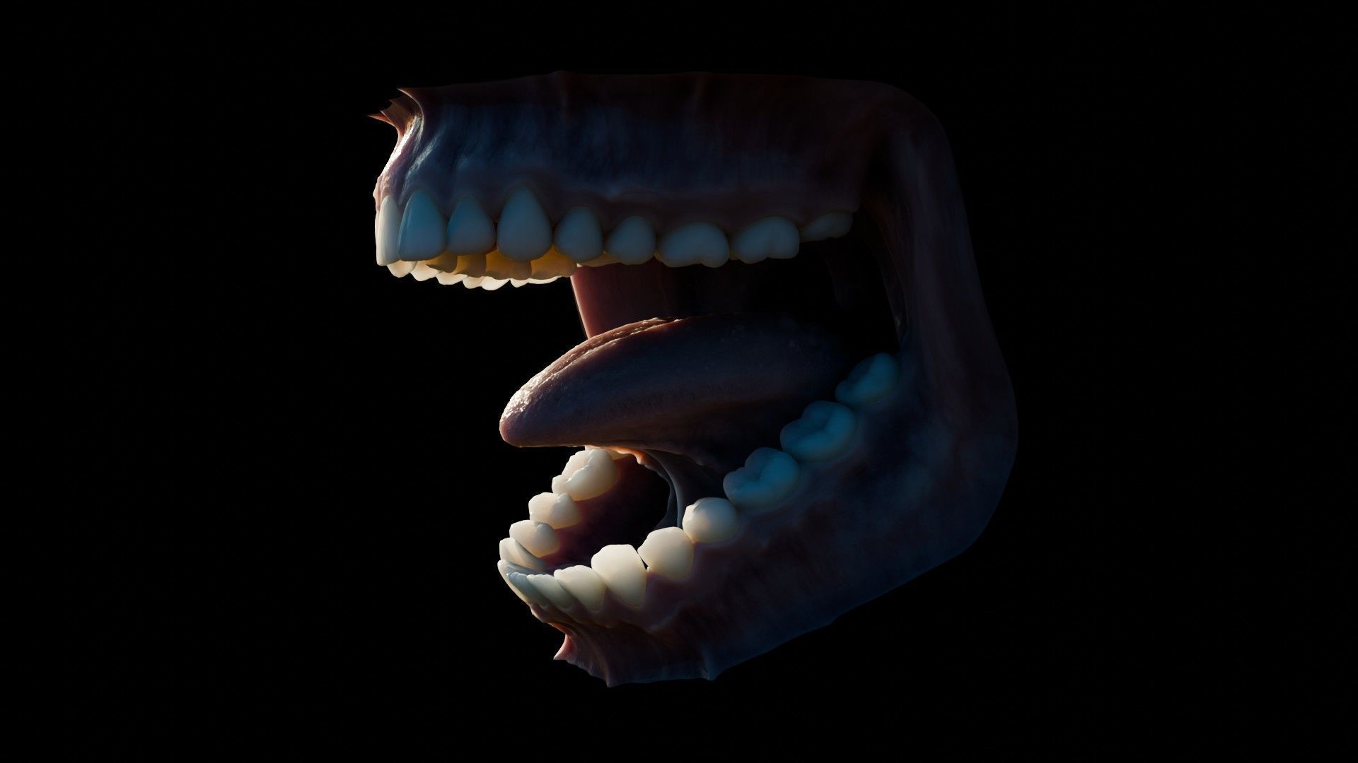 Photorealistic human mouth Low-poly 3D model_22