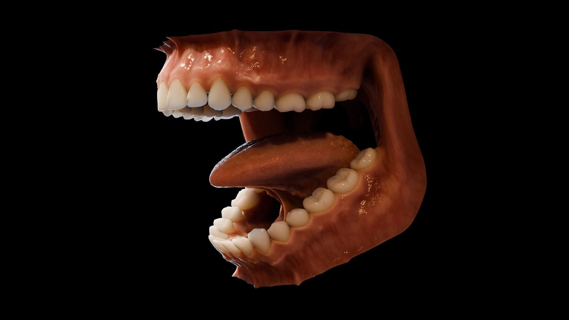 Photorealistic human mouth Low-poly 3D model_1