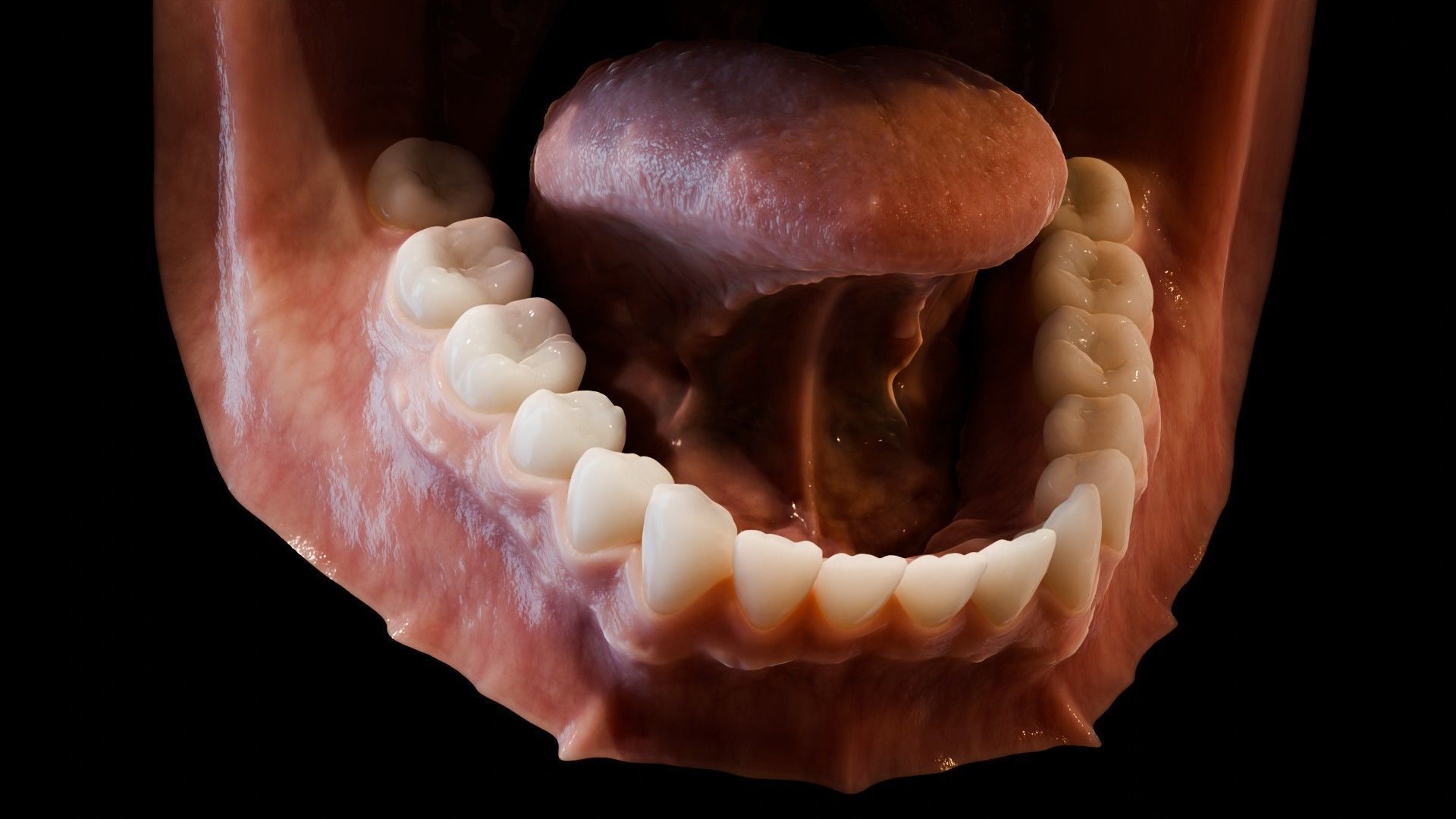 Photorealistic human mouth Low-poly 3D model_6