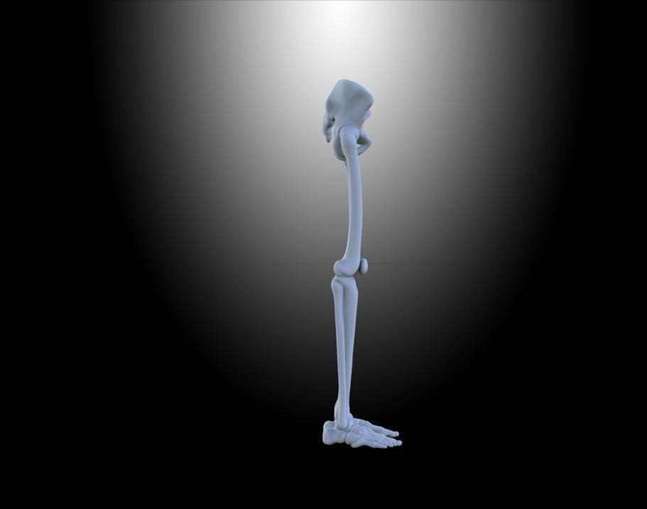 HUMAN LEGS Free 3D model_3