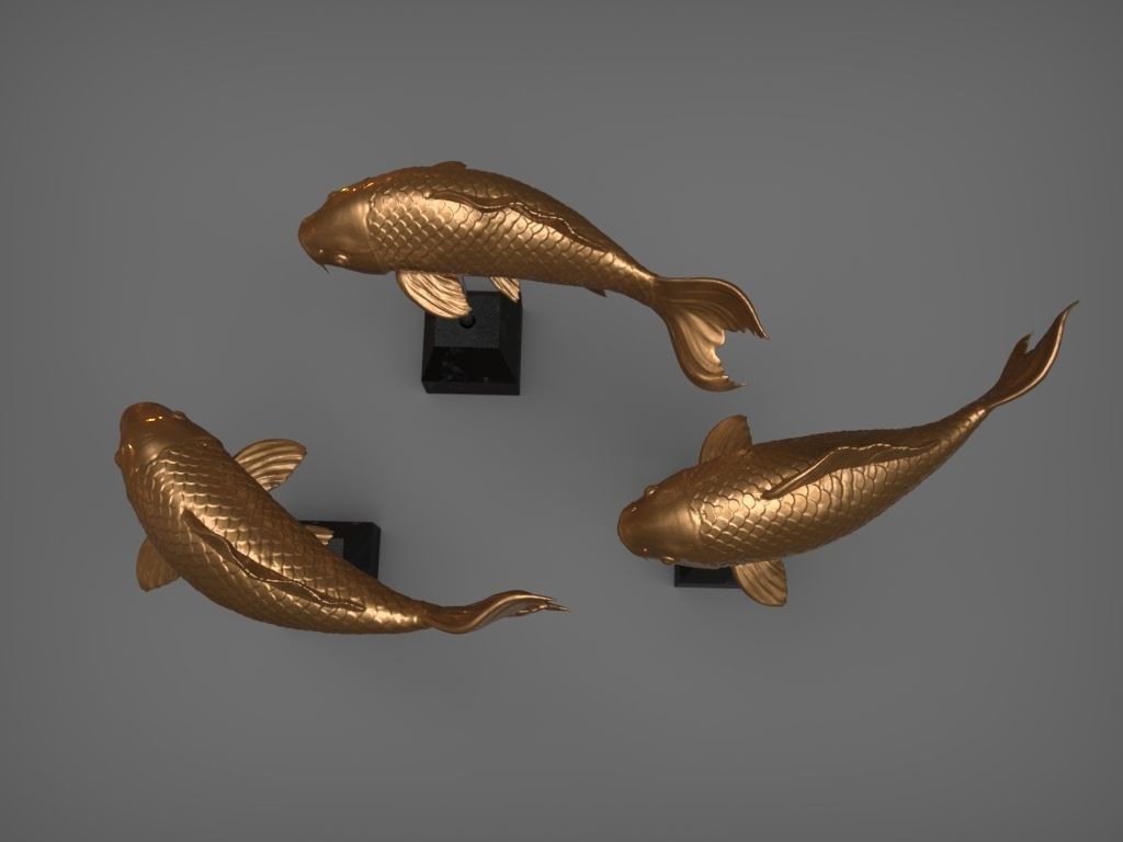 Carp Fancy 3D print model_2