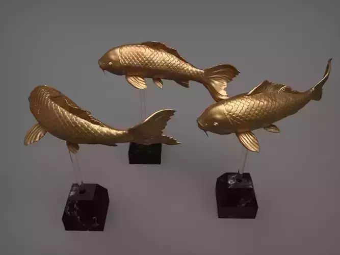 Carp Fancy 3D print model
