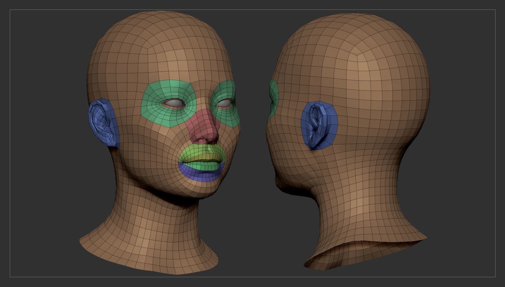 Average Asian Female Head Basemesh 3D model_9