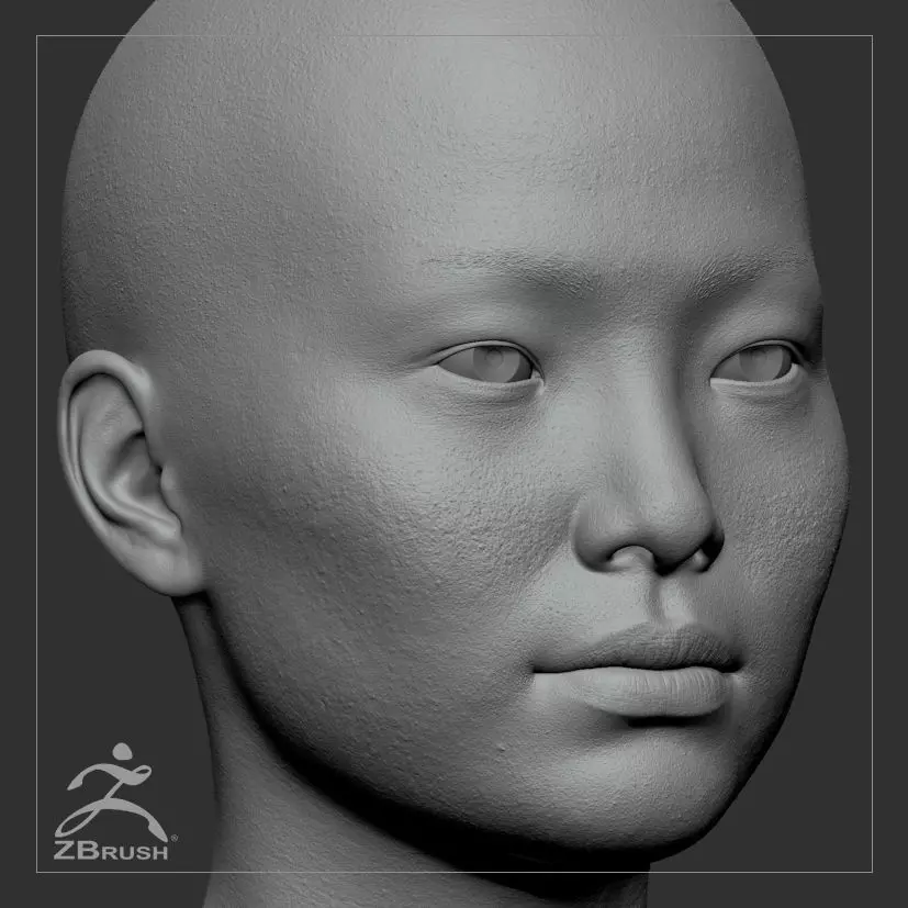 Average Asian Female Head Basemesh 3D model_0