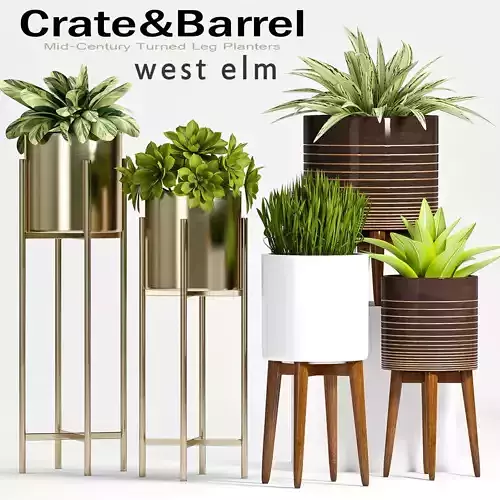 Decorative plant set-55