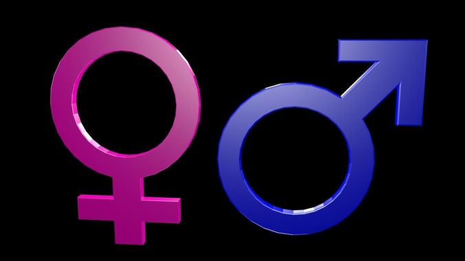 Low poly Symbols of gender 1 Low-poly 3D model