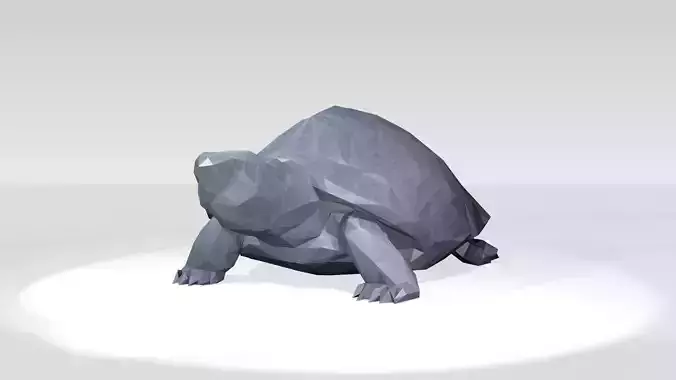 Turtle Low Poligonal 3D model