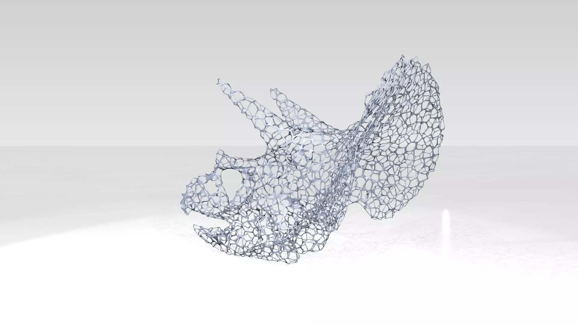 Triceratops Skull Voronoi 3D model_3