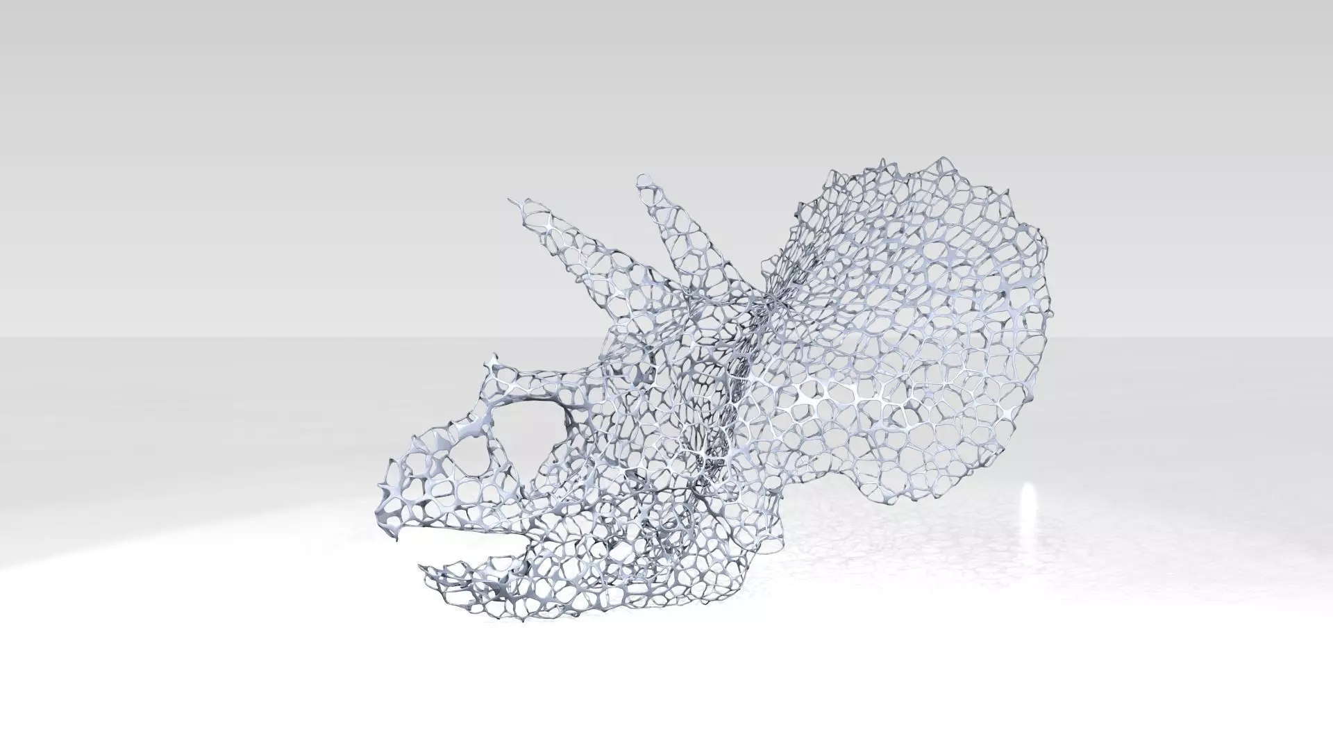 Triceratops Skull Voronoi 3D model_4