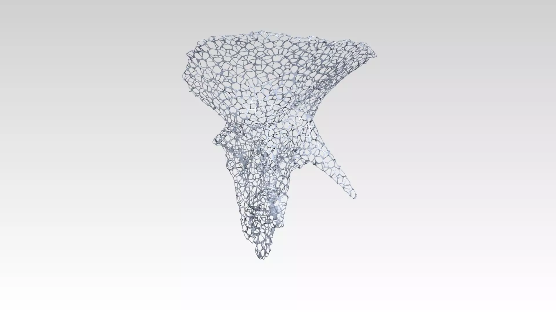 Triceratops Skull Voronoi 3D model_5