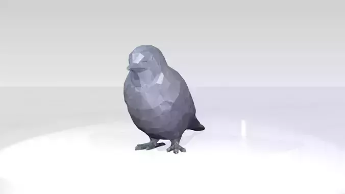 Swallow Low Poligonal 3D model