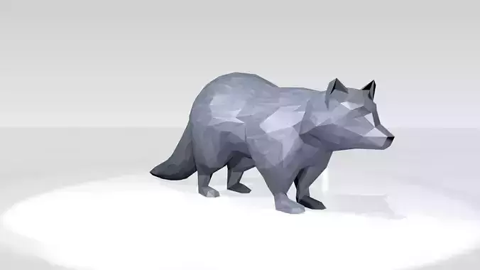Raccoon Low Poligonal